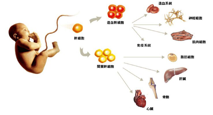 1531990670459042EZdM.png 圖片11.png