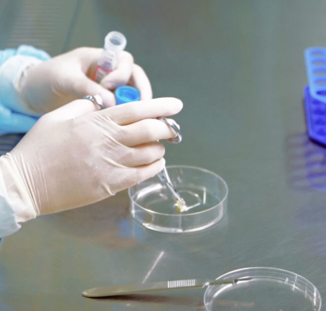 1532045746521490hIzG.png 圖片19.png