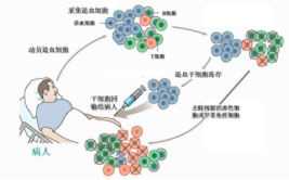 1532049462512260LLSv.png 圖片99.png