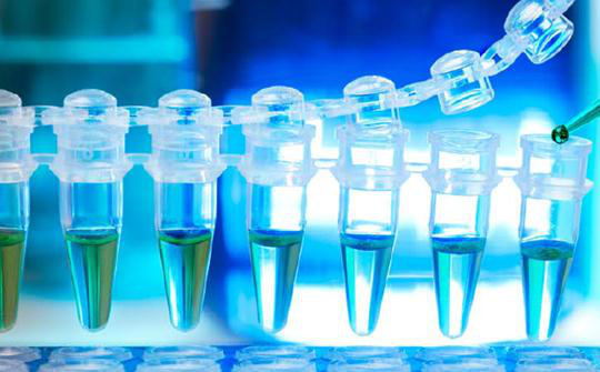 1532051460336796i7lG.png 圖片179.png