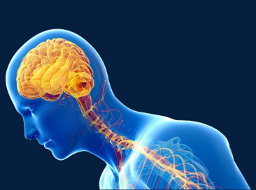 1532051915285934oA39.png 圖片199.png