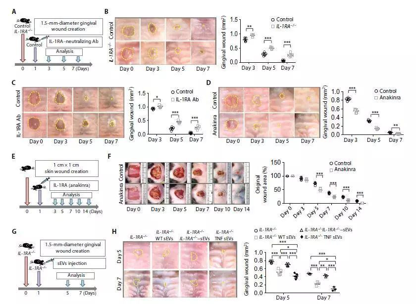 1537424713201185A6Va.png 圖片5.png