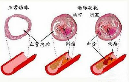 1572228859444304tPHN.png 圖片3.png